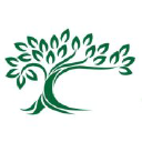 Forest Lake Endodontics