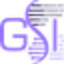 GeekSI
