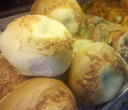 Great American Bagel