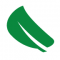 Green Attic Insulation
