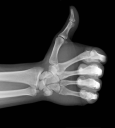 Guelph Osteopathy