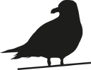 Seagull Software