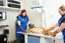Happy Tails Animal Hospital