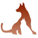 Haven Animal Hospital
