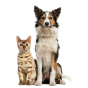 Heartland Pet Hospital