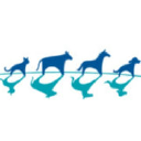 Heartland Animal Hospital