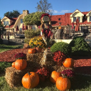 Herrera Vineyards