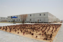 ICS Group