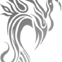 The Lazarus Group - LLC