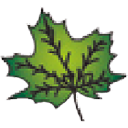 Let It Grow, Inc.