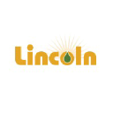 Lincoln Energy Solutions