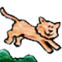 Lago Vista Animal Clinic