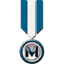 Medallion Pools