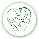 Miracles in Motion, Inc.