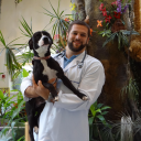 Mount Laurel Animal Hospital