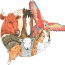 Myrtle Veterinary Hospital