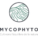 MYCOPHYTO