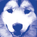 North Country Animal Hospital