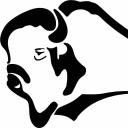 Northstar Bison