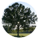 OAKRIDGE Environmental Engineering