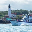 Odyssey Whale Watch