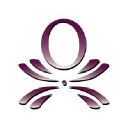 Optima Executives
