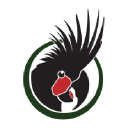 World Parrot Trust