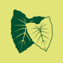 Partners In Development Foundation