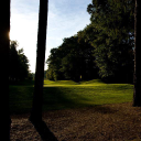 Pine Trace Golf Club