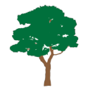 Plantation Dental