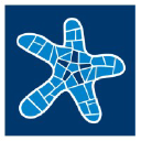The Pool Tile Company