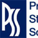 Professional Staffing Solutions