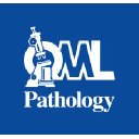 QML Pathology