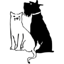 Roncesvalles Animal Hospital