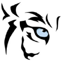 Saberus Inc