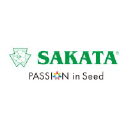 Sakata