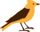 Skylark Senior Care