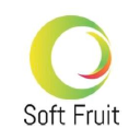 SoftFruit Solutions