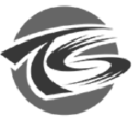 Technity Solutions Inc.