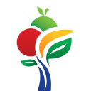 The Nutrition Group