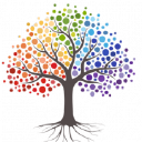 The Shellharbour Clinic