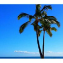 Torrey Del Mar Dentistry