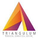 Triangulum LLC
