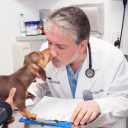 University Animal Hospital