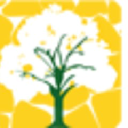 Upgrade Landscaping, LLC