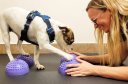Uxbridge Veterinary Hospital