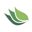 Vinea Capital