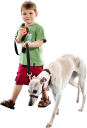Waverley Animal Hospital