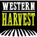 Western Harvest Inc