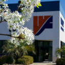 Whaley Foodservice